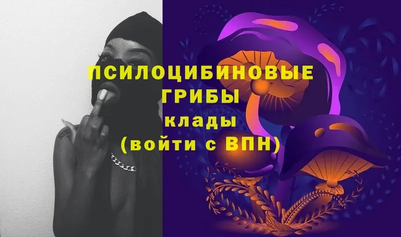 Галлюциногенные грибы Psilocybe  где найти   Верещагино 